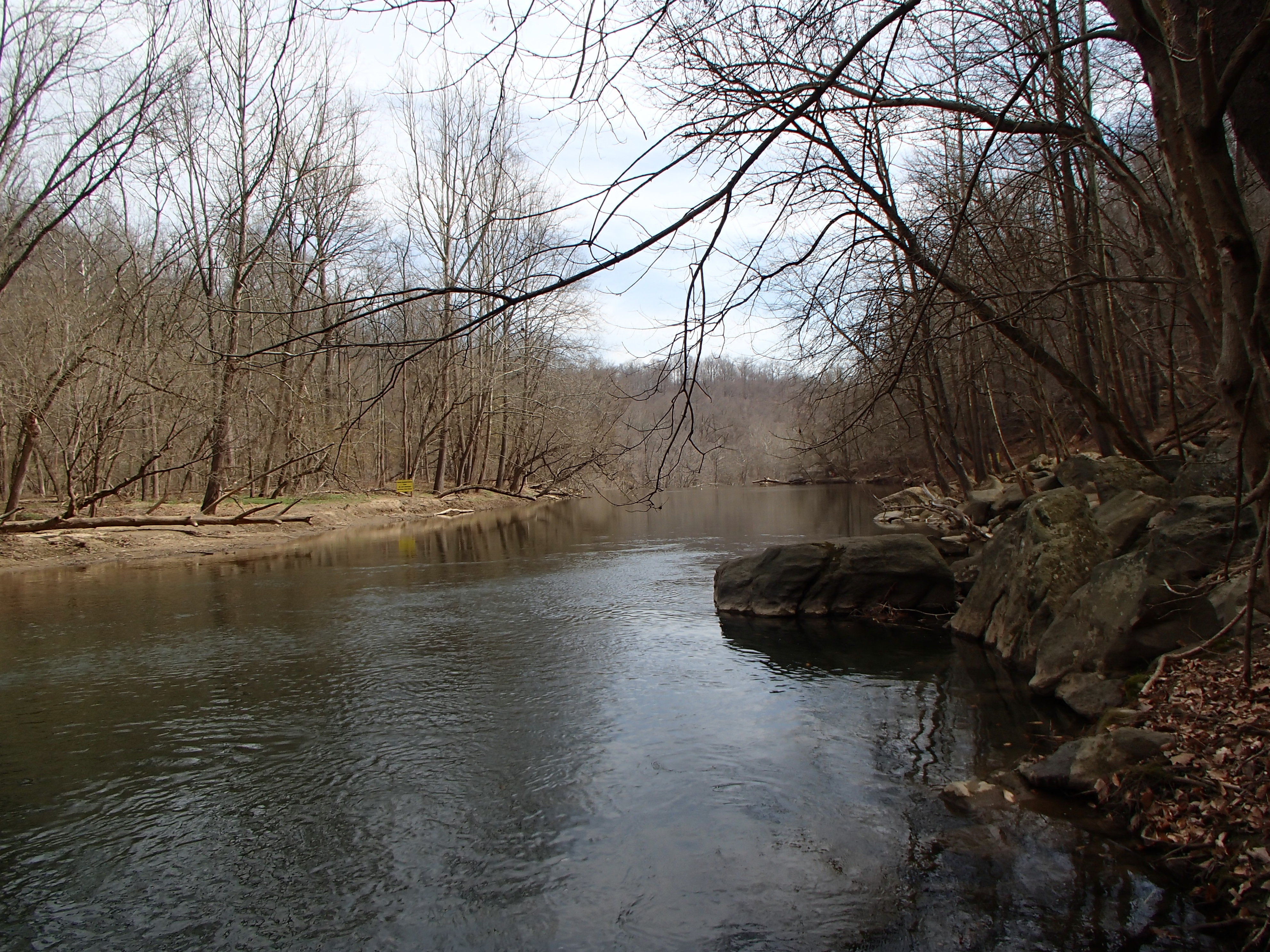Field photo showing stream conditions at site PATL-515-X-2016_midpoint looking downstream